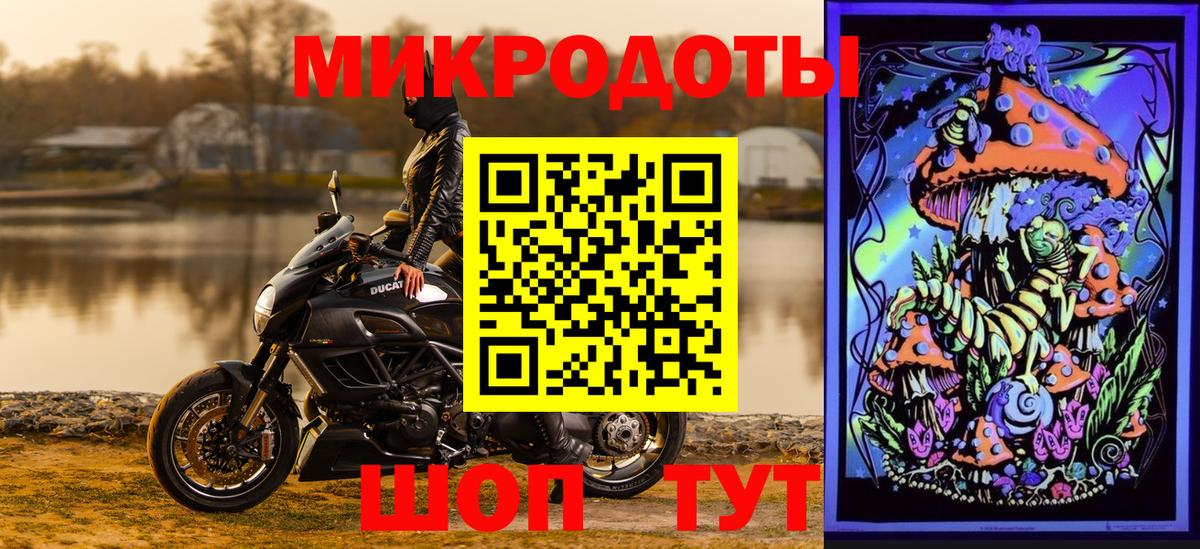 Псилоцибиновые грибы Cubensis  закладка  Альметьевск  Вход с VPN 