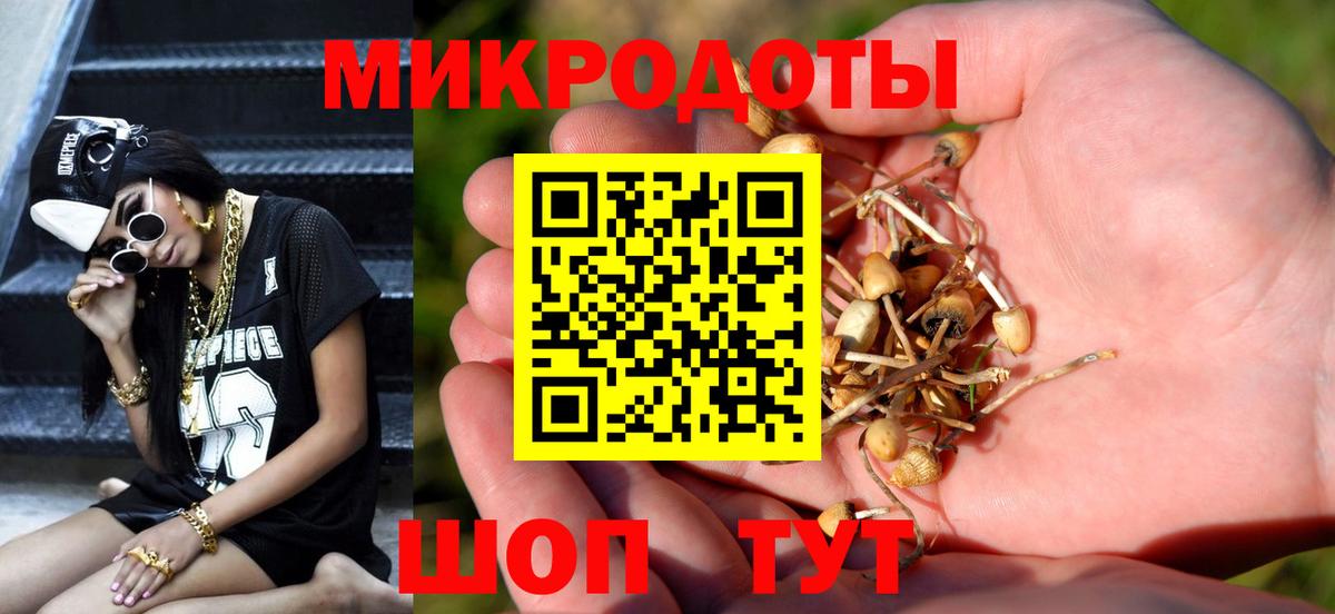 Псилоцибиновые грибы Psilocybine cubensis Альметьевск
